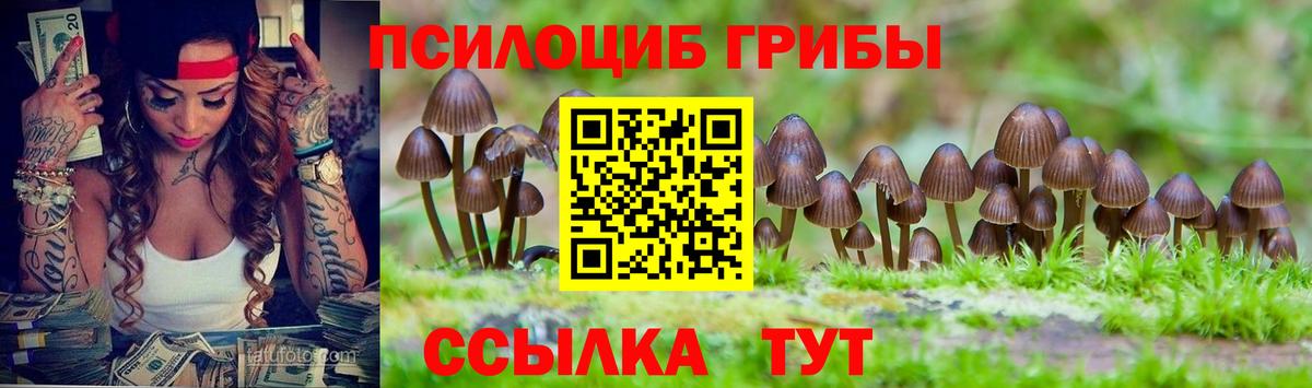 Алапаевск  Псилоцибиновые грибы Cubensis  Галлюциногенные грибы Cubensis  Вход с VPN 